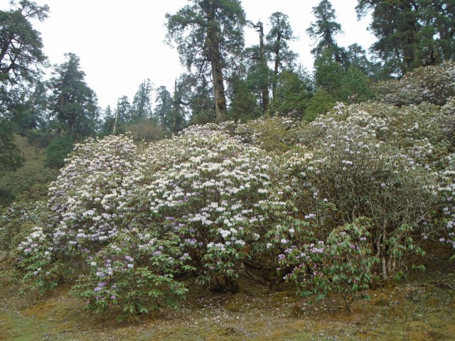 Natural resources and beauty